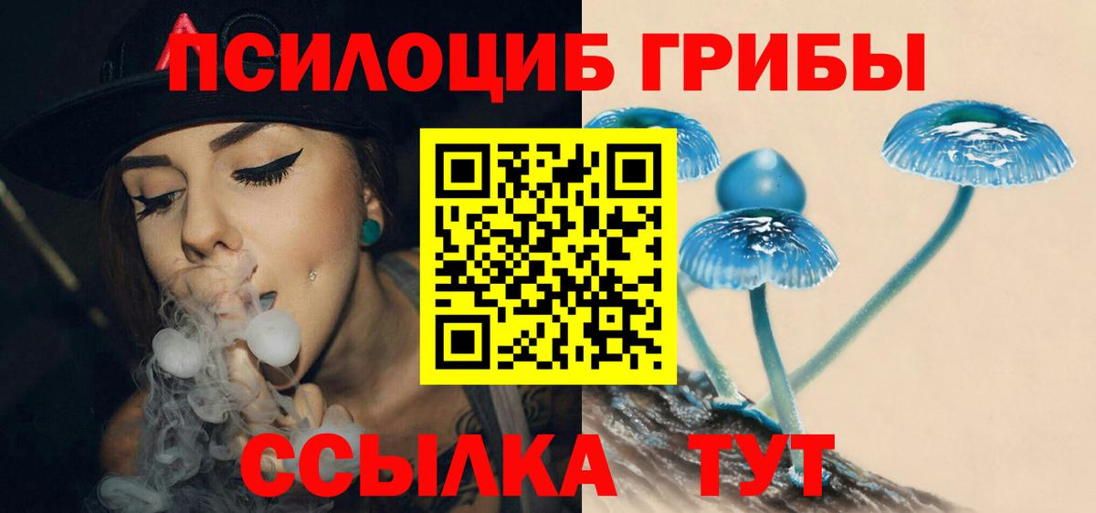 Кызыл  Псилоцибиновые грибы Cubensis  Вход с VPN  Псилоцибиновые грибы Magic Shrooms 